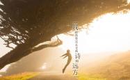开云体育平台APP-2026世界杯D组，厄瓜多尔险胜葡萄牙，奥斯梅恩引领攻守转换的闪电风暴