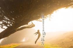 开云体育平台APP-2026世界杯D组，厄瓜多尔险胜葡萄牙，奥斯梅恩引领攻守转换的闪电风暴