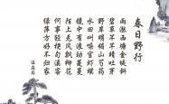 开云sport-唯一的主角，布罗佐维奇如何用一己之力，改写了2026世界杯H组焦点战的剧本