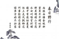 开云sport-唯一的主角，布罗佐维奇如何用一己之力，改写了2026世界杯H组焦点战的剧本