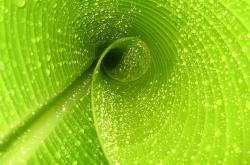 开云体育官网-赛道即祭坛，红牛险胜的血色黄昏与皮亚斯特里灼热的上升轨迹