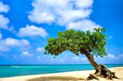 开云体育APP下载-冰与火的碰撞，维尼修斯闪耀巴西之舞，威尔士将士血拼卡塔尔沙场