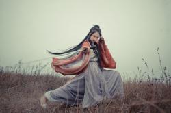 开云体育app-格子铁血与郁金香凋零，德甲争冠背后的克罗地亚之魂