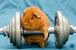 开云体育-日耳曼战车全速碾压，复盘年度焦点之战，德国如何彻底粉碎波兰的钢铁防线