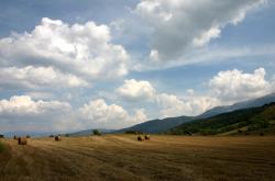 开云体育APP下载-艺术与混凝土，库尔图瓦的神扑与哥斯达黎加的钢铁防线