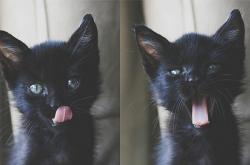 开云体育官网-钢铁防线改写战局，活塞用历史级第三节掐灭篮网，东决天平就此倾斜