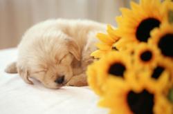 开云体育APP下载-奥林匹斯山巅对决旧主，格纳布里借希腊之火，点燃攻克里昂的史诗之夜