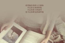 开云体育在线-赛道与绿茵的碰撞，F1街道赛焦点战与南非淘汰曼联的体育奇迹