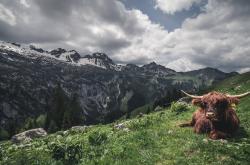 开云体育入口-绿茵启示录，塞维利亚的出埃及与哈兰德的神迹降临