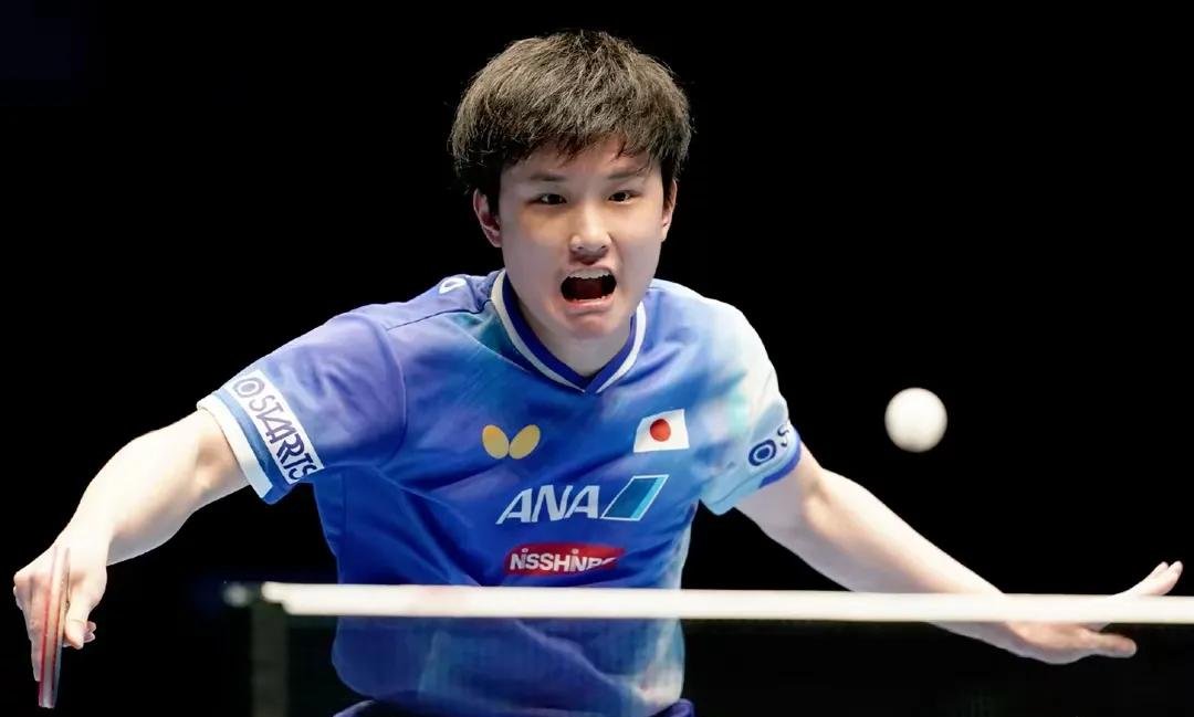 比利时乒乓球队爆冷波兰乒乓球队,张本智和惊艳世界 比利时乒乓球队爆冷波兰乒乓球队,张本智和惊艳世界