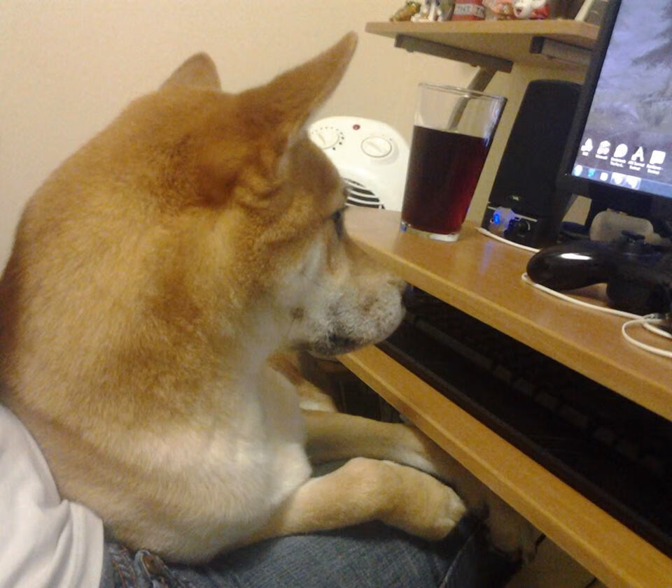 双城记，索斯盖特的战术败笔与亚洲之光的火焰