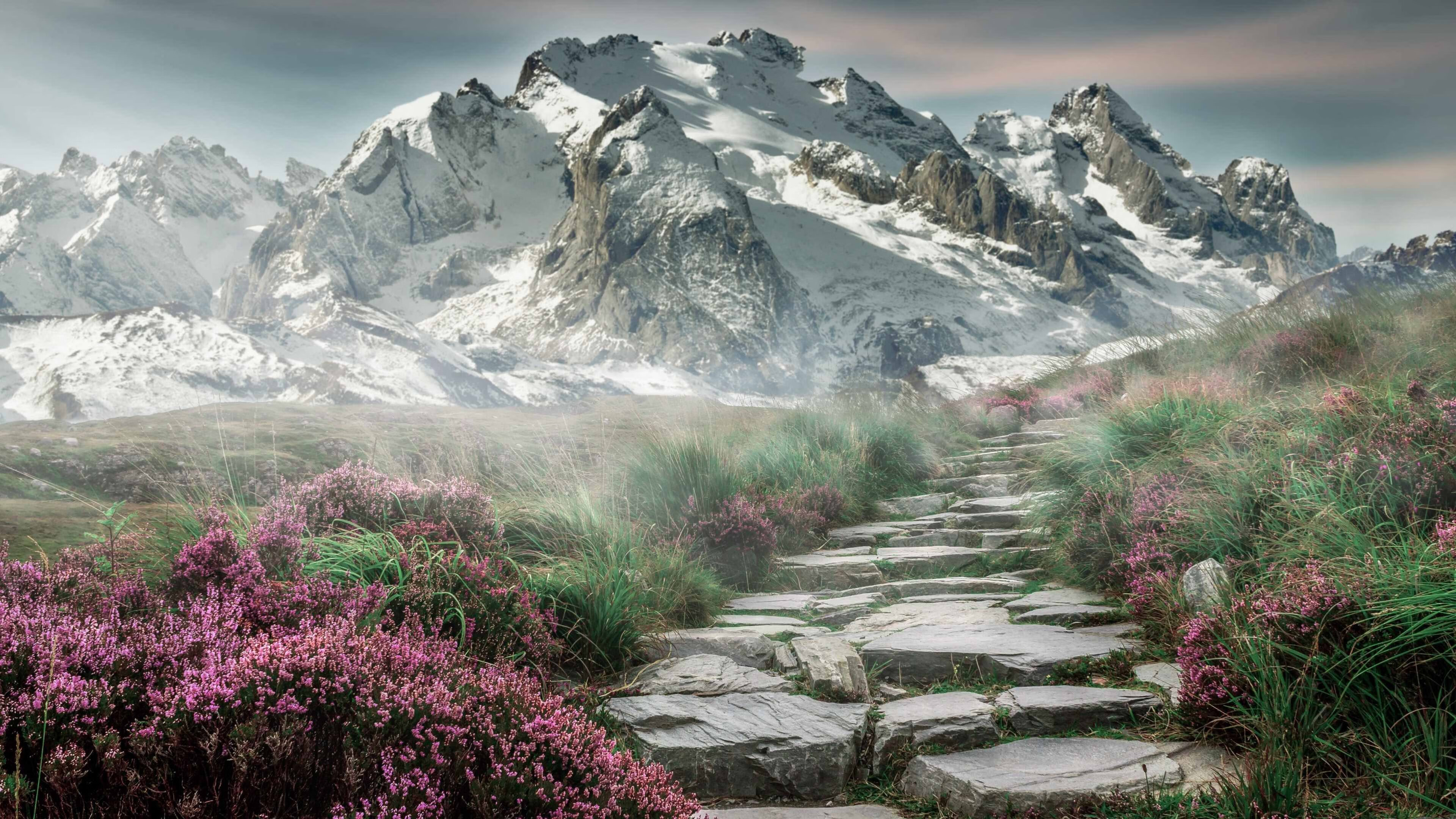 布克状态火热助广州队险胜雷霆,跨联盟对决惊心动魄