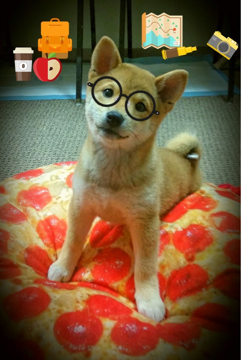 末节圣保罗重临人间，山西钢铁洪流碾碎华盛顿奇才