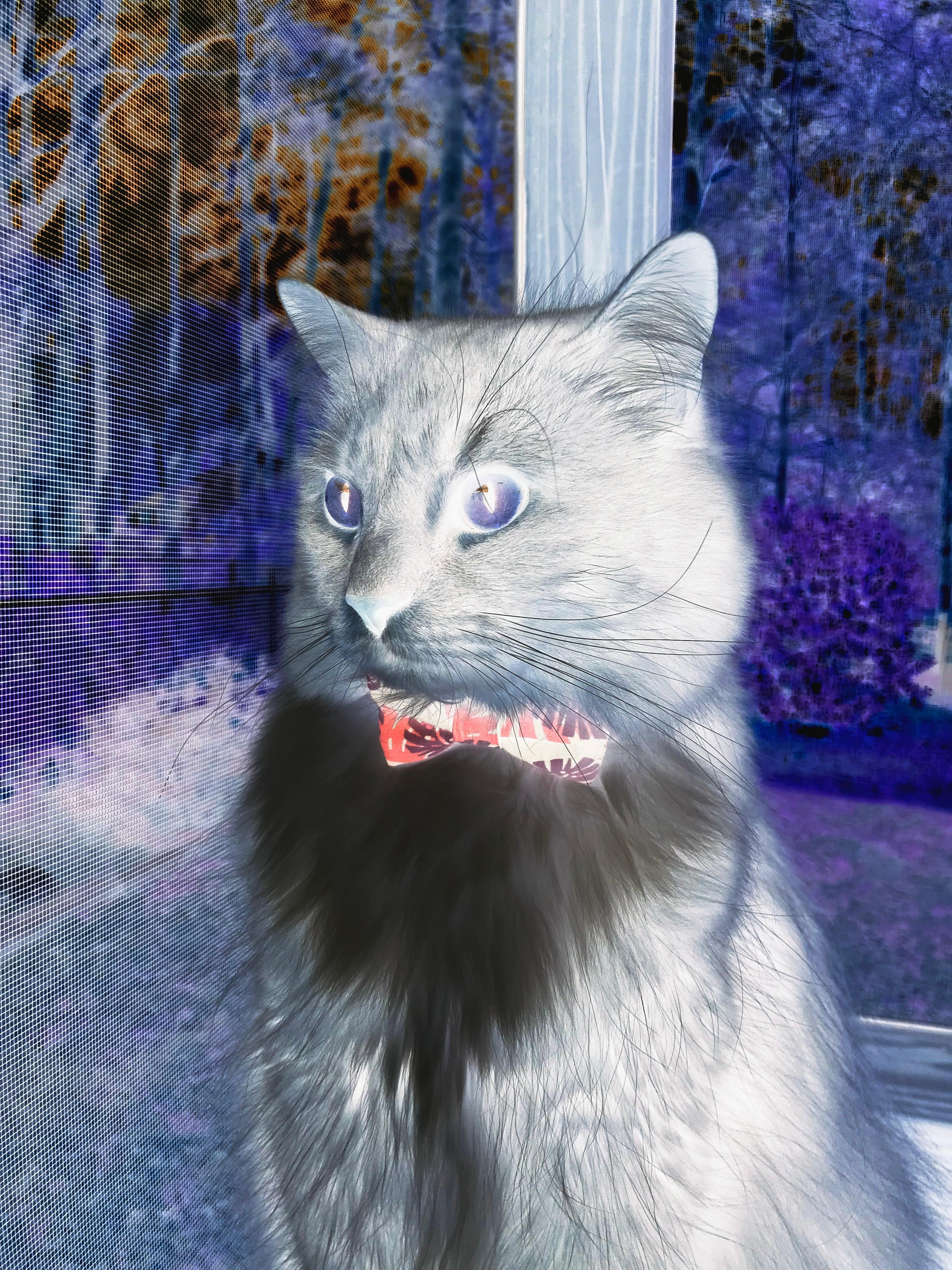 骑士的胜利VS库里的神迹，篮球艺术里的面与点