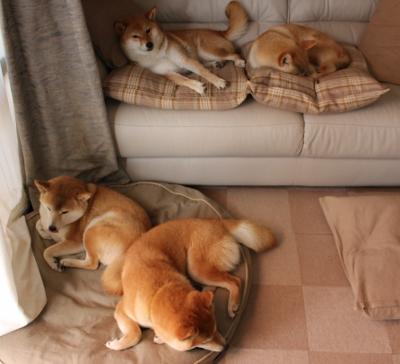 平行时空的冠军信条，当英超争冠之夜遇见库里的个人英雄主义