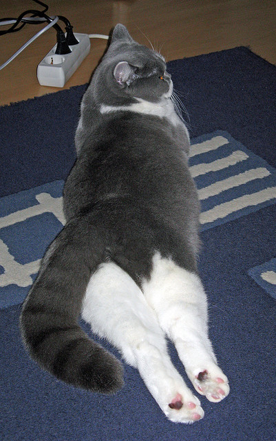 孤峰擎天,当巴黎的星光淹没安菲尔德,唯有法比尼奥是那座不沉的岛屿