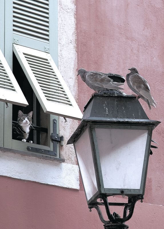 梅西的杀伤力与尼斯的丹麦节奏，足球世界的双重奏