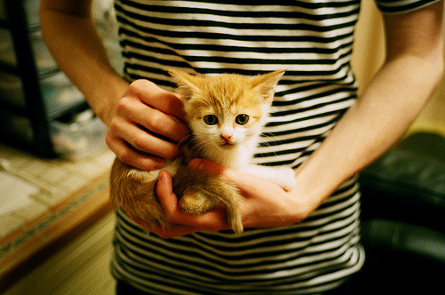 平行时空的争冠变奏,当德甲硝烟遇见北京王朝与爵士戛然