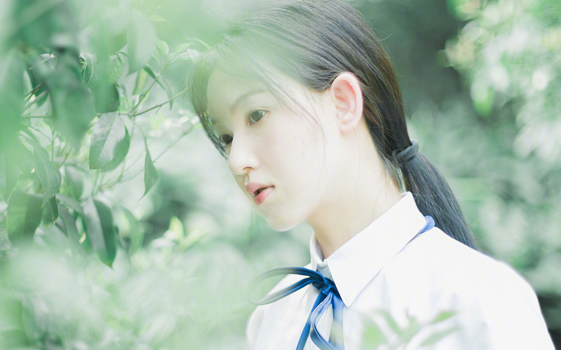 群狼撕碎星月，哈弗茨，那个在安卡拉之夜降临的金发刺客