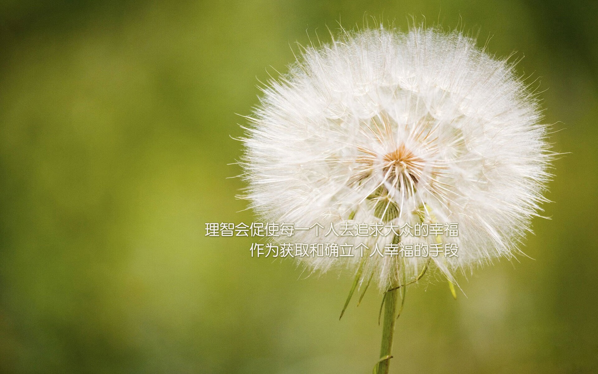 2026世界杯,豪门碰撞中的冷门史诗,苏亚雷斯点燃枫叶之国的奇迹之夜