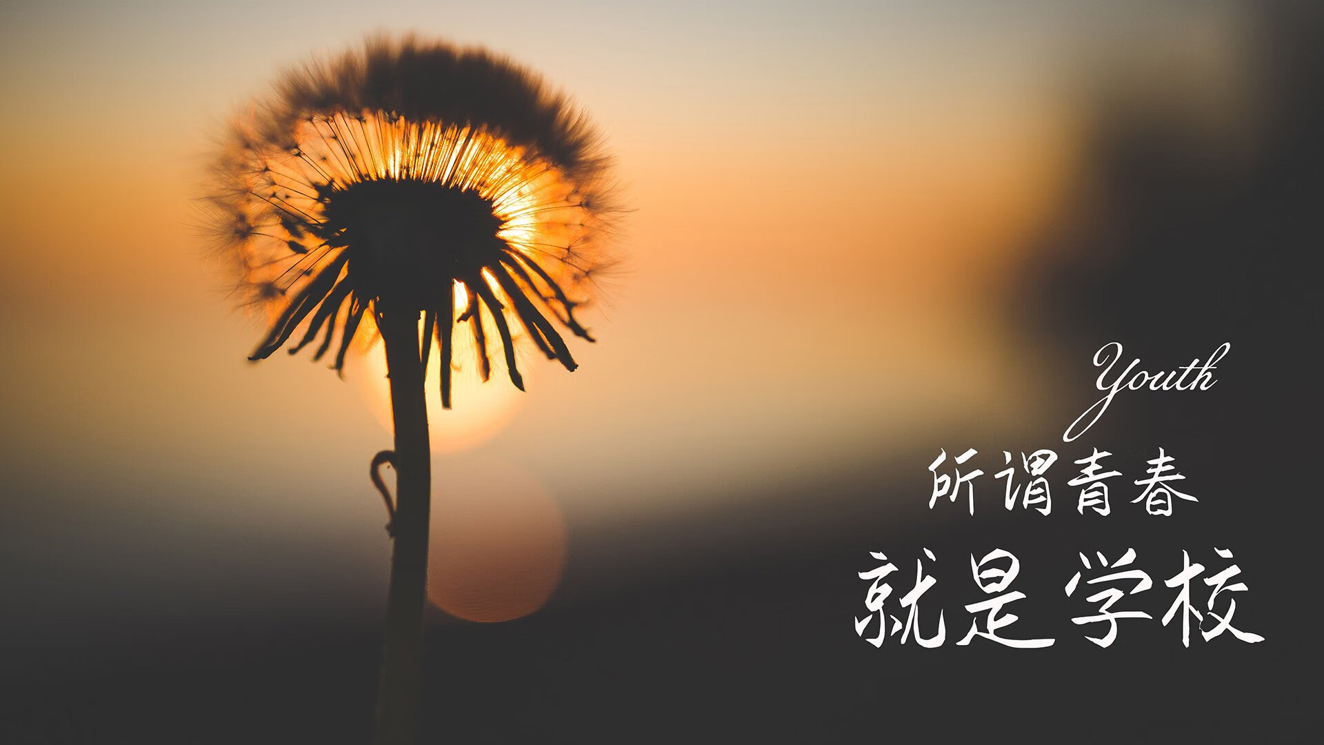 沙漠血月,当星条旗在德黑兰上空最后一次飘扬—2026世界杯H组焦点战,托纳利的神谕与美国的绝命救赎