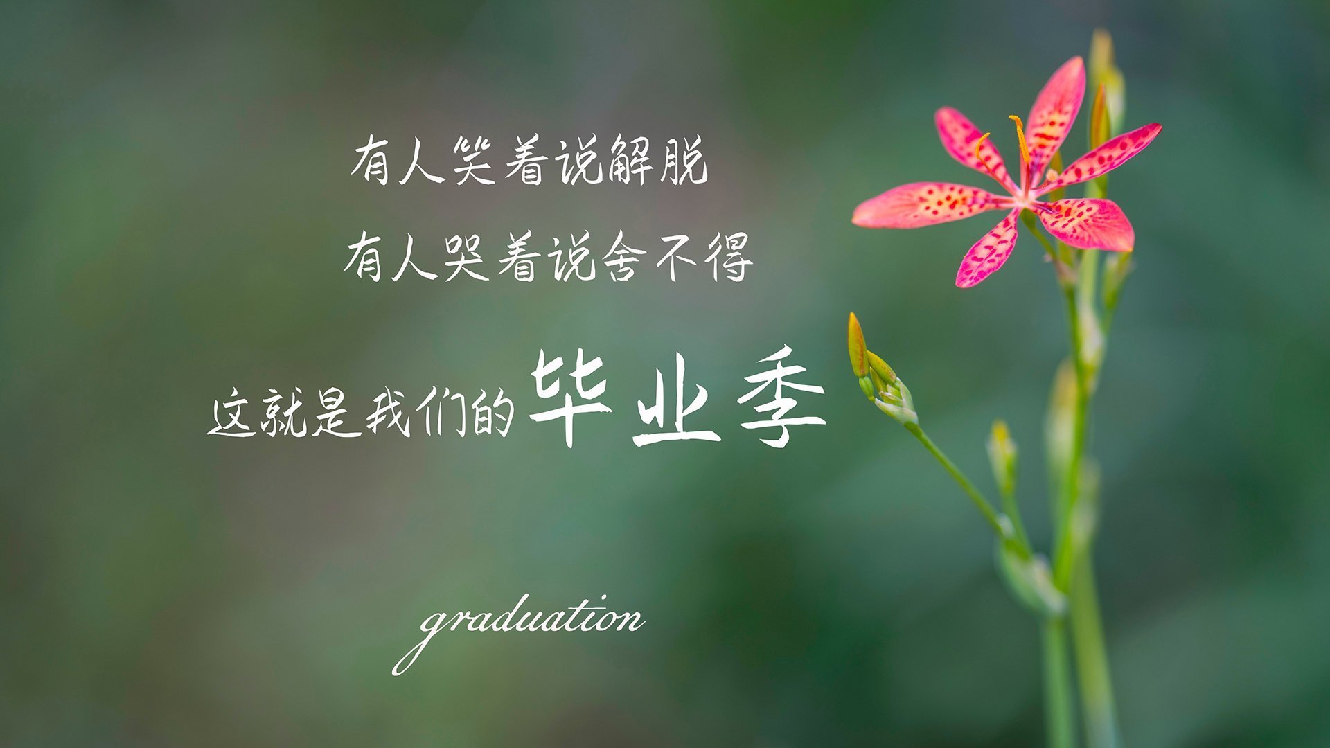 沙漠风暴席卷纽约,2026世界杯H组伊朗力克美国,孙兴慜演绎攻守转换美学