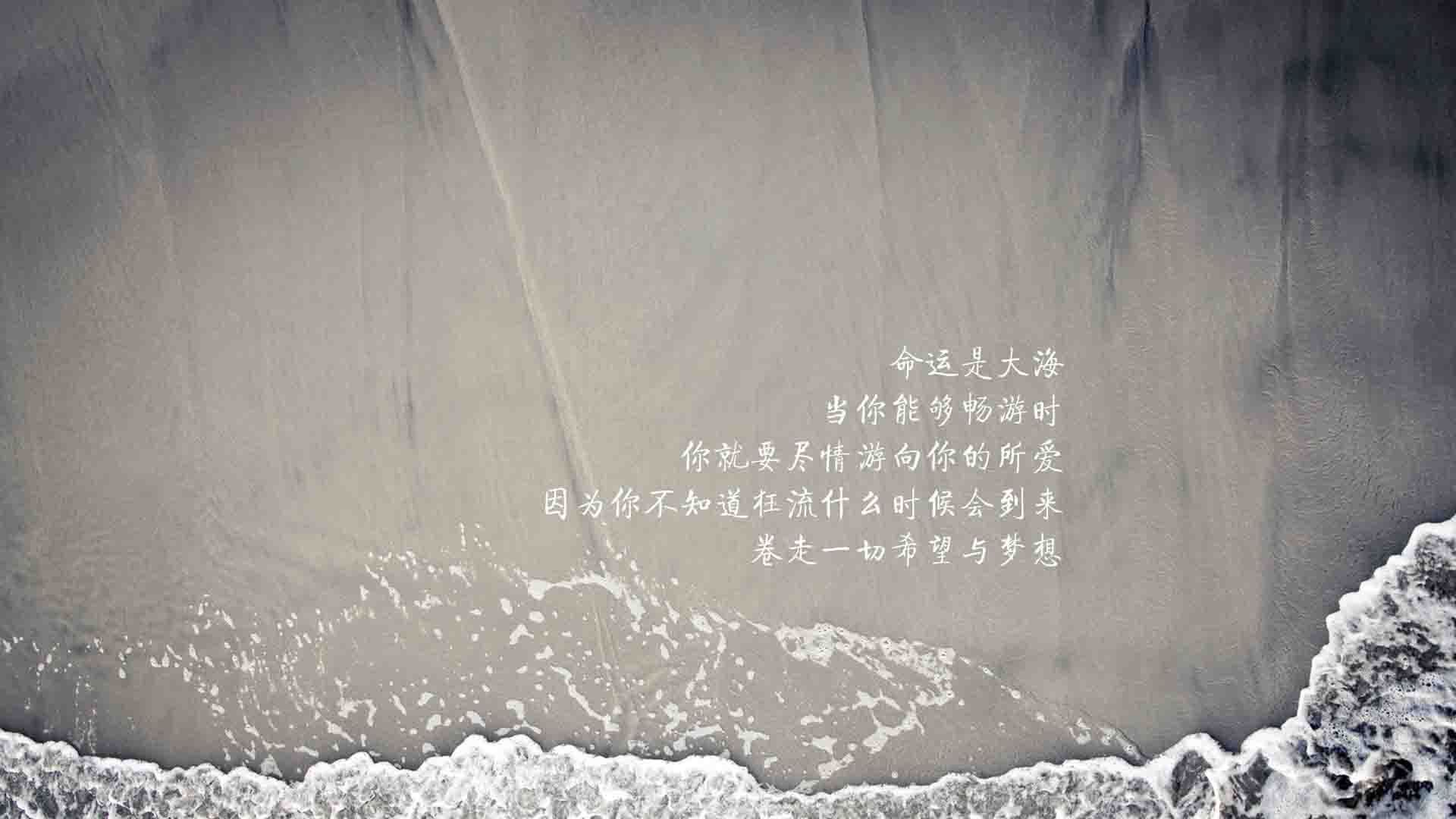 荒漠玫瑰,当伊朗在2026世界杯H组撕碎桑巴图腾,登贝莱的刀刃却刺穿了波斯铁骑的梦